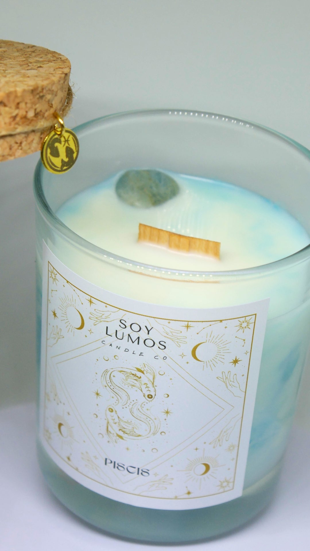Vela PISCIS♓
